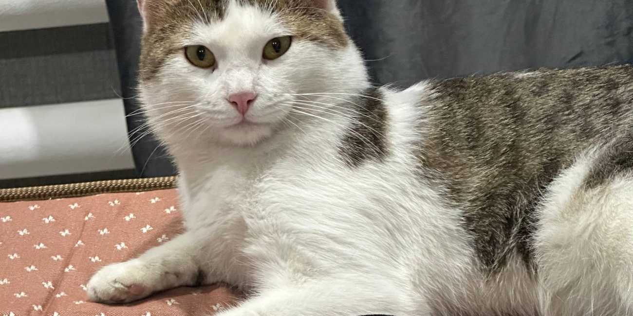 photo_1_2025-10-30_17-36-13