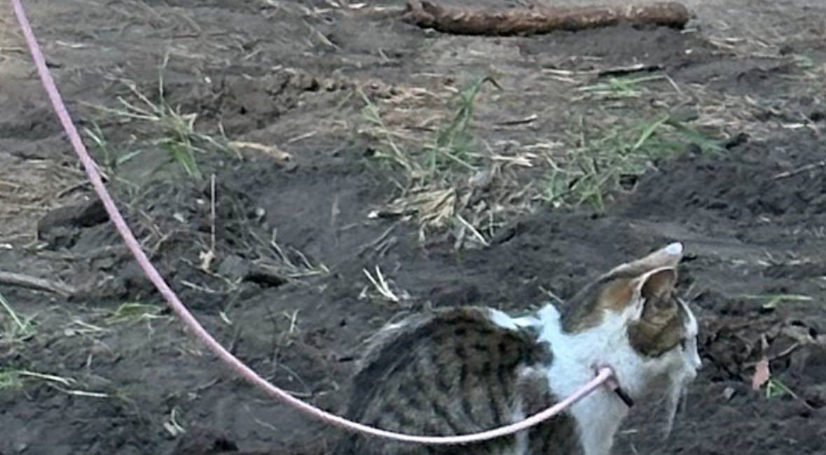 photo_27_2025-10-30_17-36-13